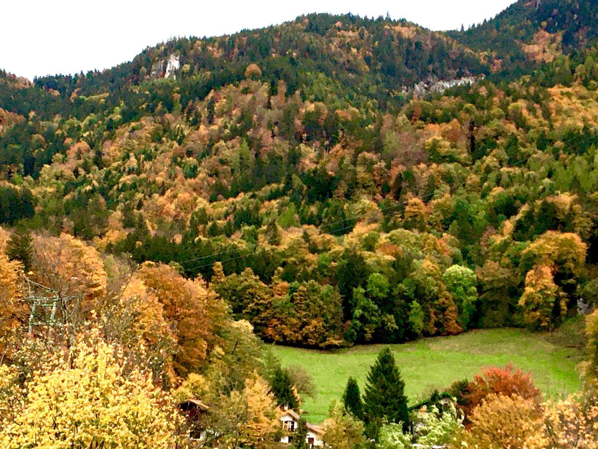 Appartment Schloss-Zeit Aschau im Chiemgau Værelse billede